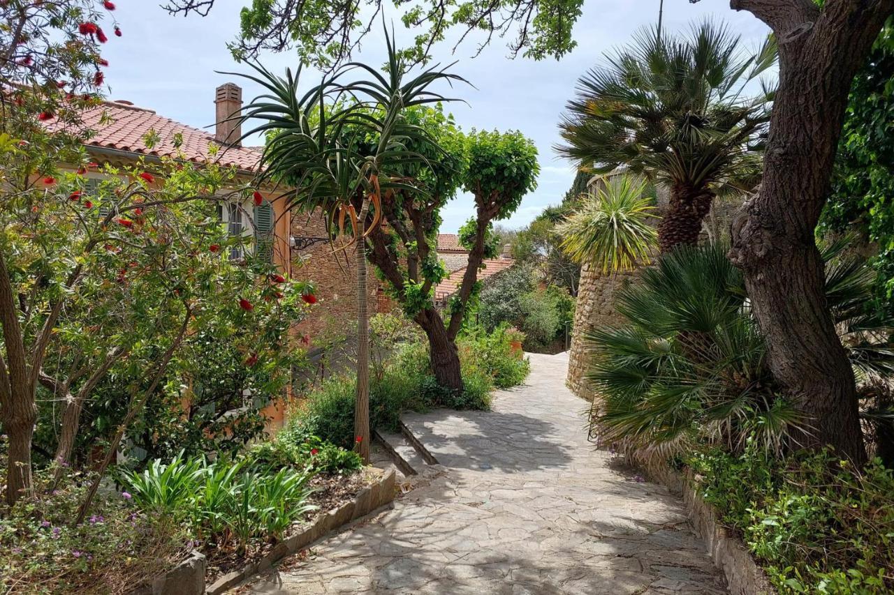 Bright 29M With Nice View In Bormes-Les-Mimosas Bormes-les-Mimosas Exterior foto